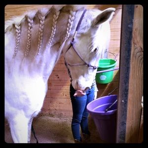 Meet your Posher, Abby